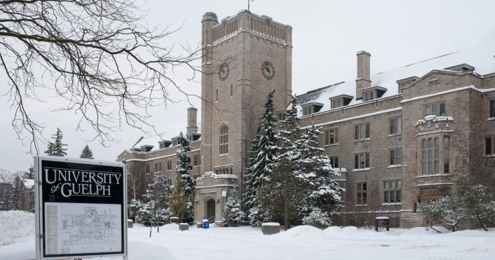 University of Guelph Tuition Fees in 2022 - How to Pay
